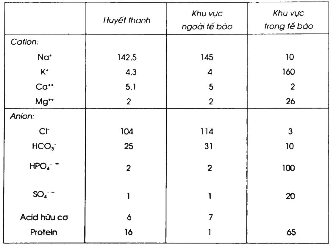 6. Các Bệnh Lý Liên Quan Đến Ion Đồ